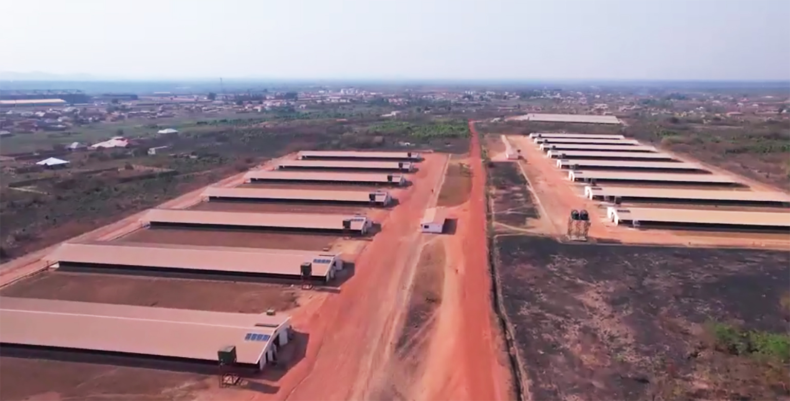 共創中非合作新標桿!Vinmart與智光電氣簽訂3個非洲光儲項目